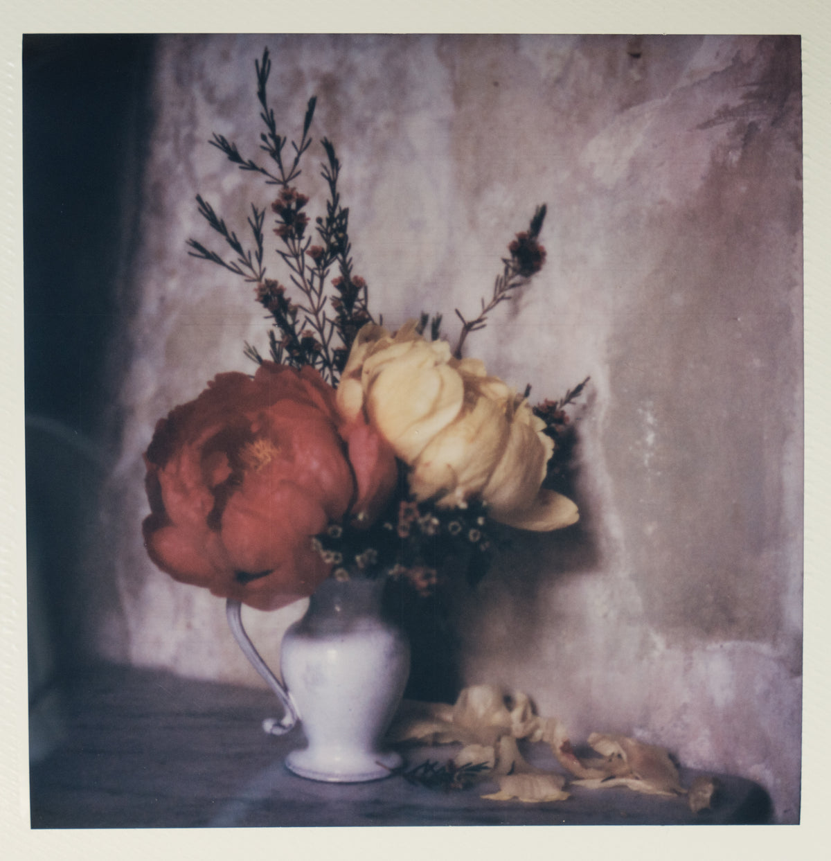 Polaroid Studio Artifact 29