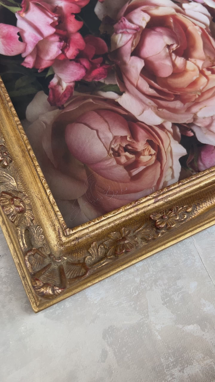 Framed Masterwork - Rose Month Day Twenty-eight