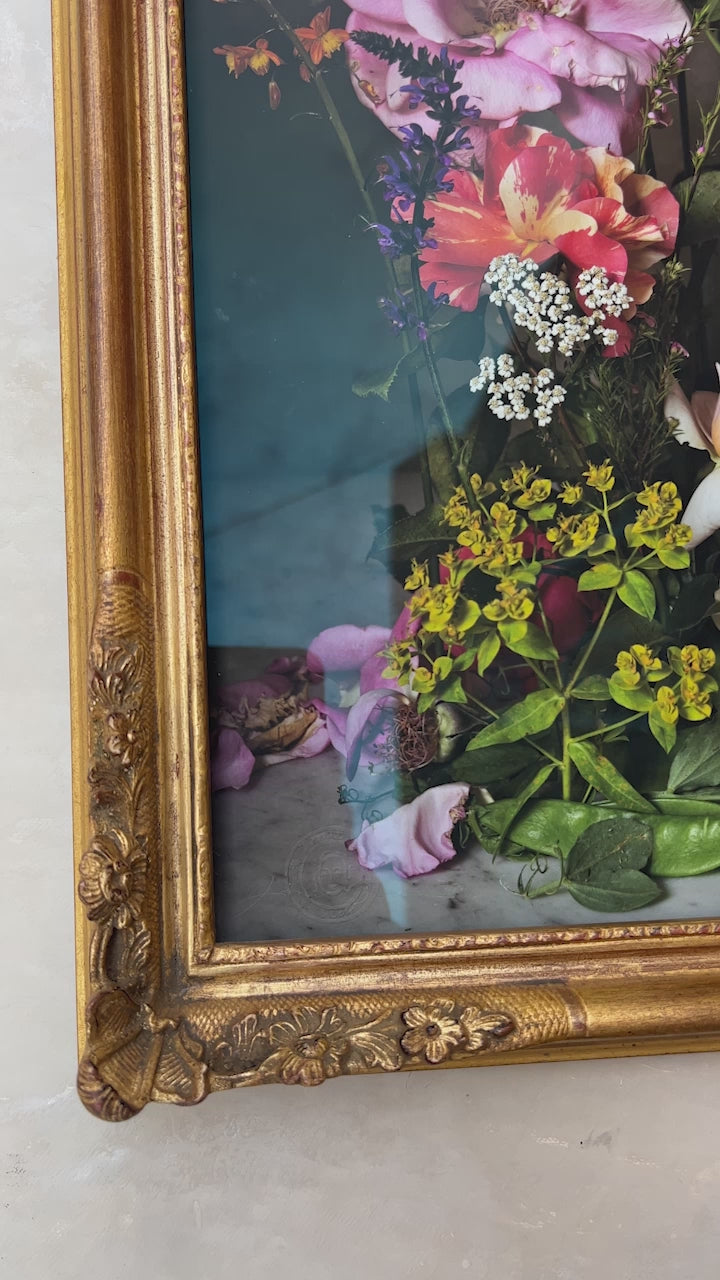 Framed Masterwork - Rose Month Day Seventeen