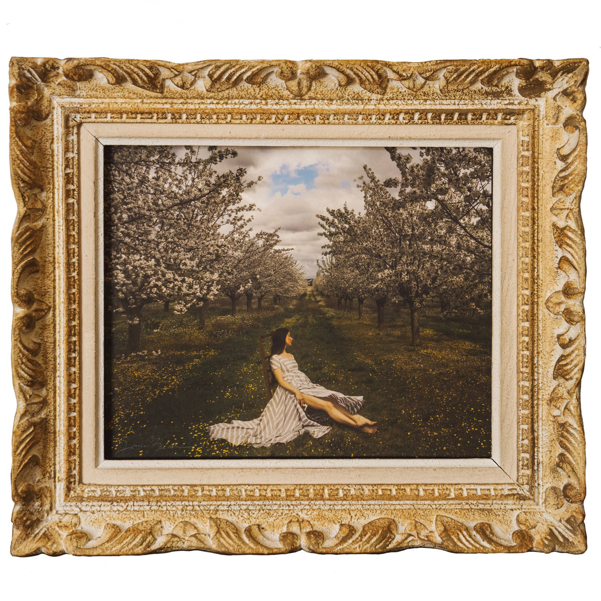 An American in Provence Page 308  - Fine Art Collectible