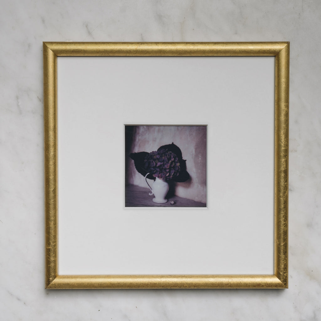 Polaroid Studio Artifact 31