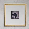 Polaroid Studio Artifact 31