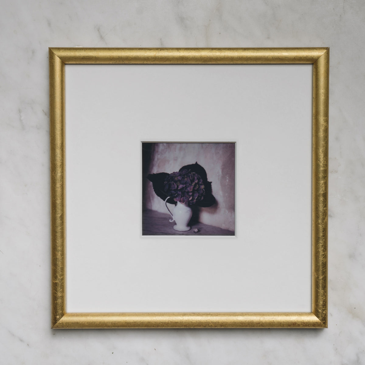 Polaroid Studio Artifact 31