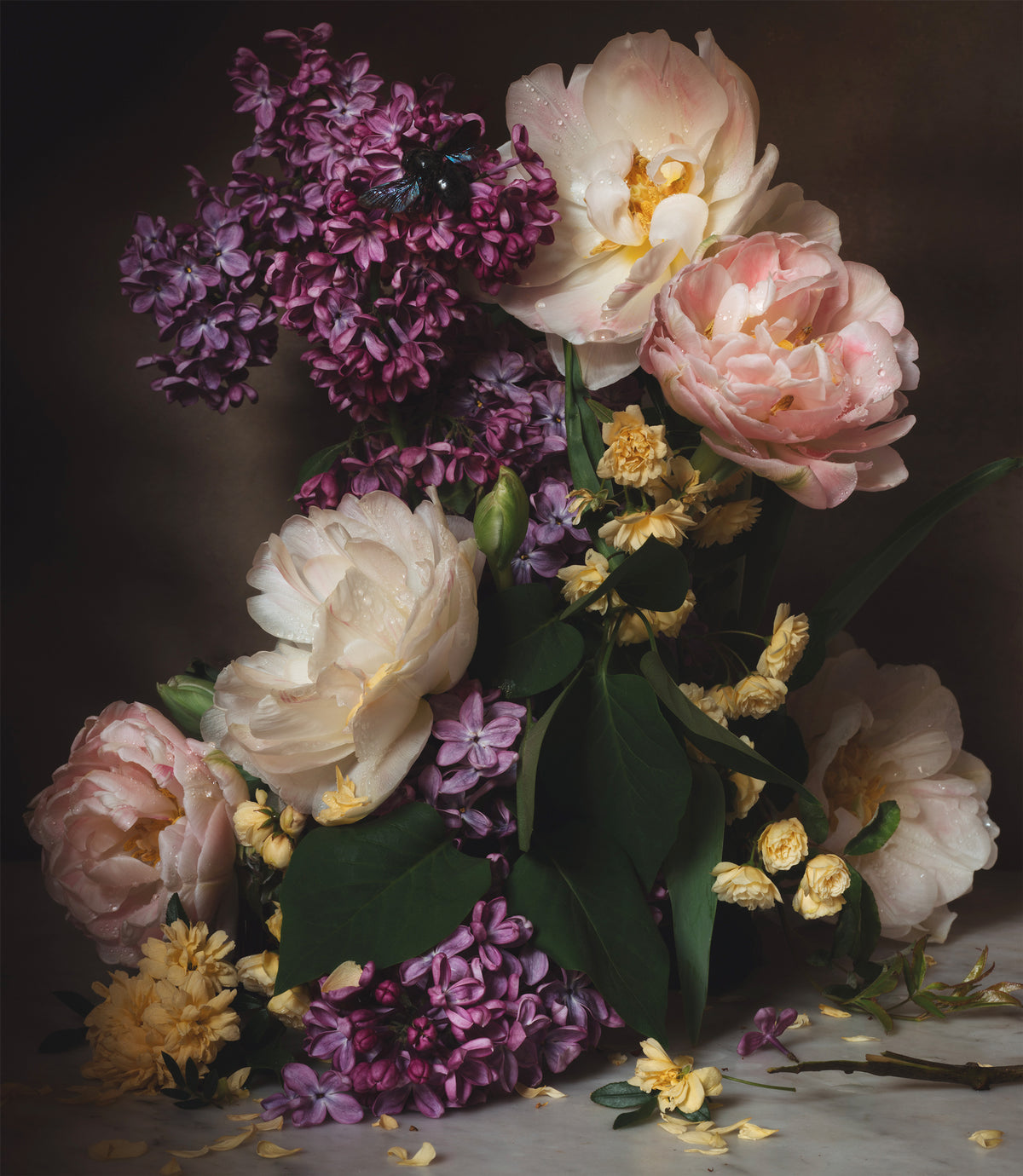 Day Thirty-six Fine Art Print