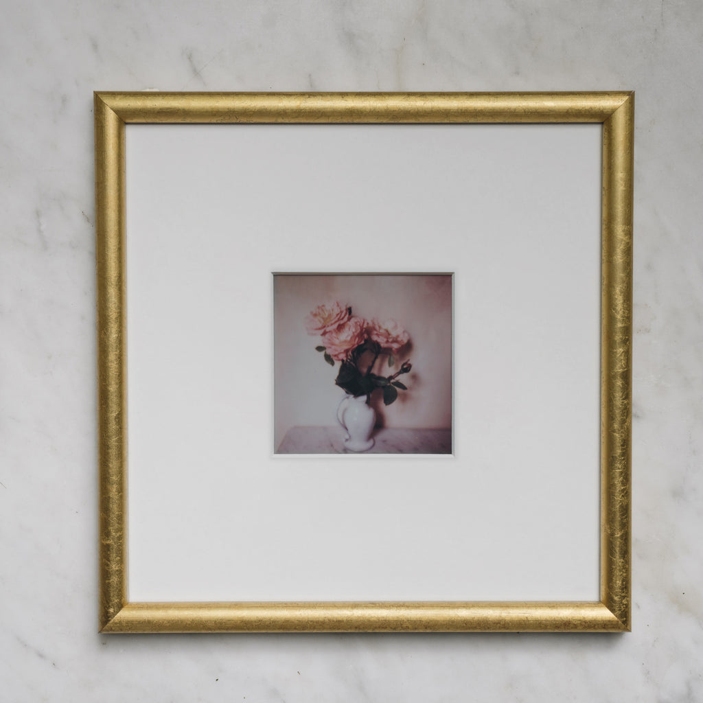 Polaroid Studio Artifact 38