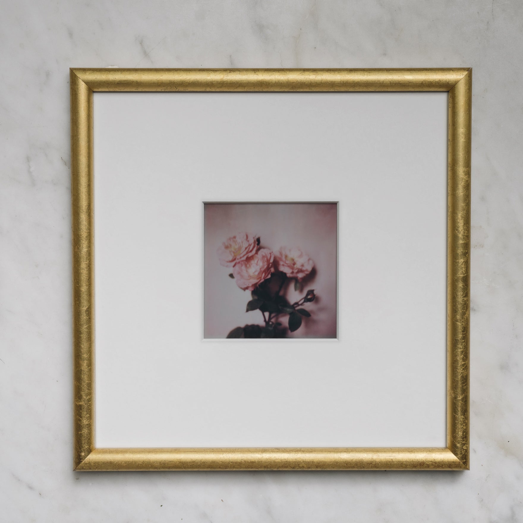 Polaroid Studio Artifact 39