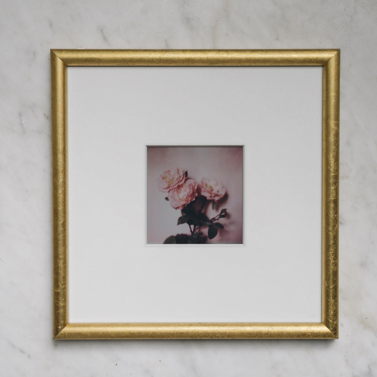Polaroid Studio Artifact 39