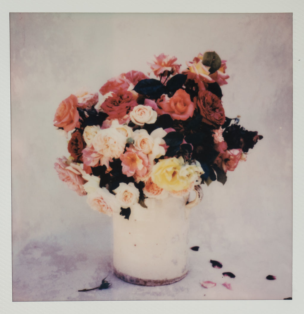 Polaroid Studio Artifact 03