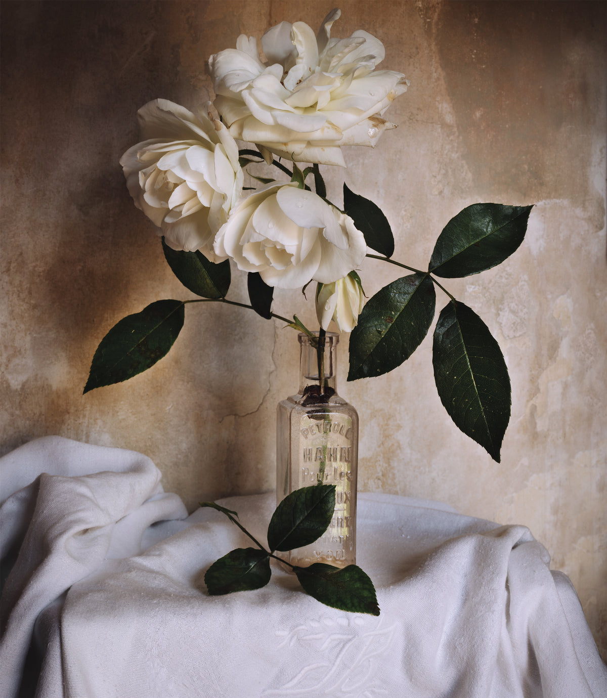 Day Forty-one Fine Art Print