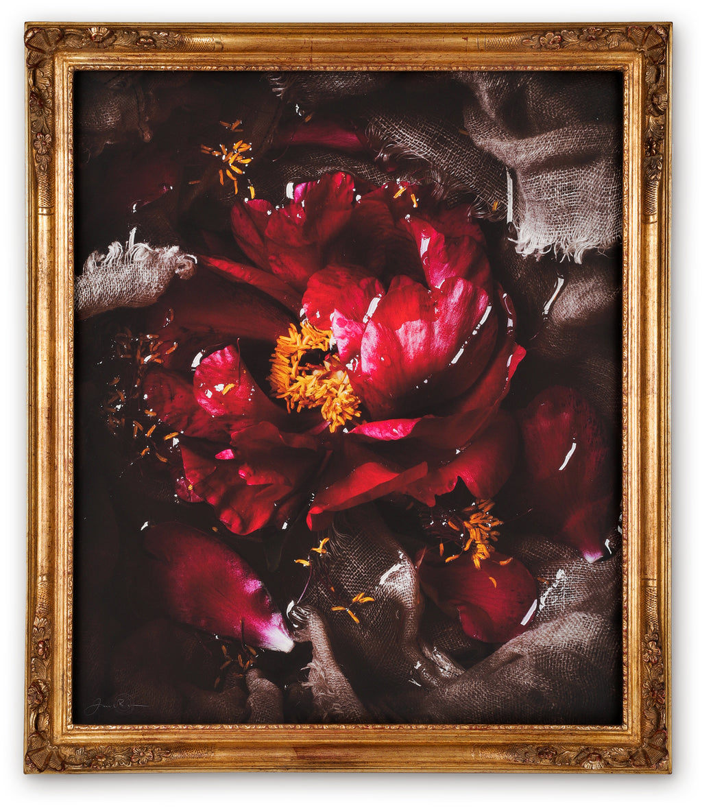 Day Forty-three Framed Masterwork