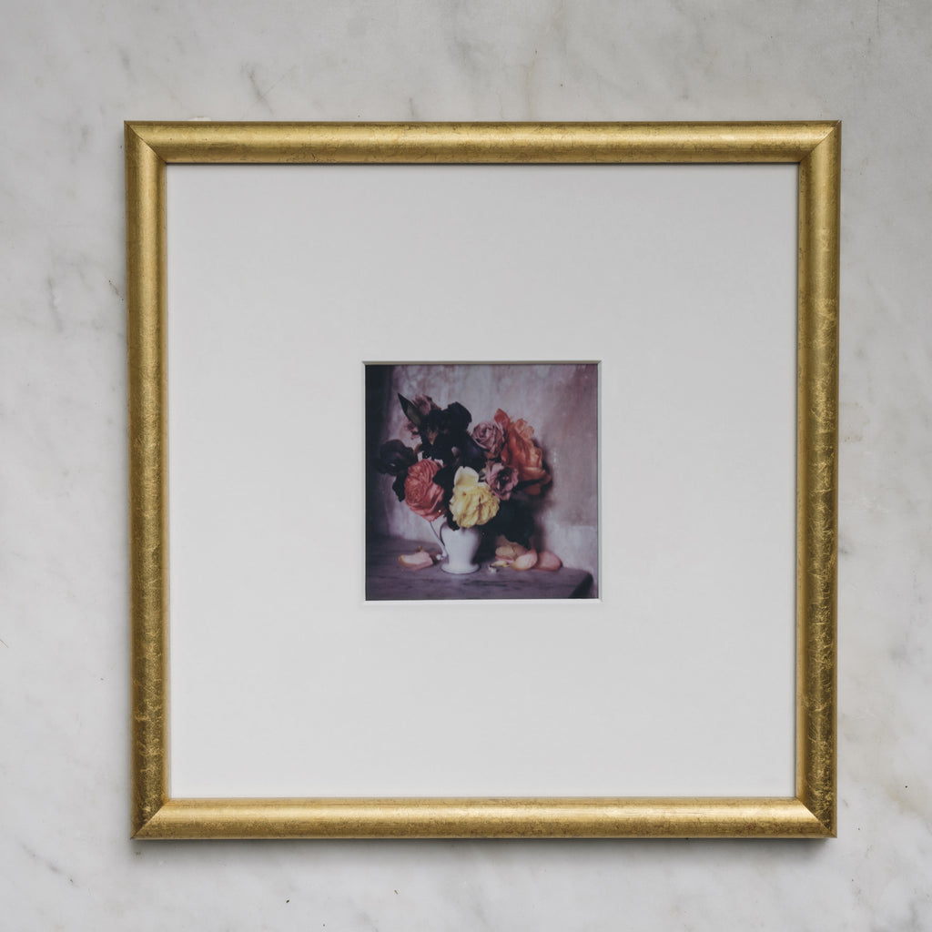 Polaroid Studio Artifact 44