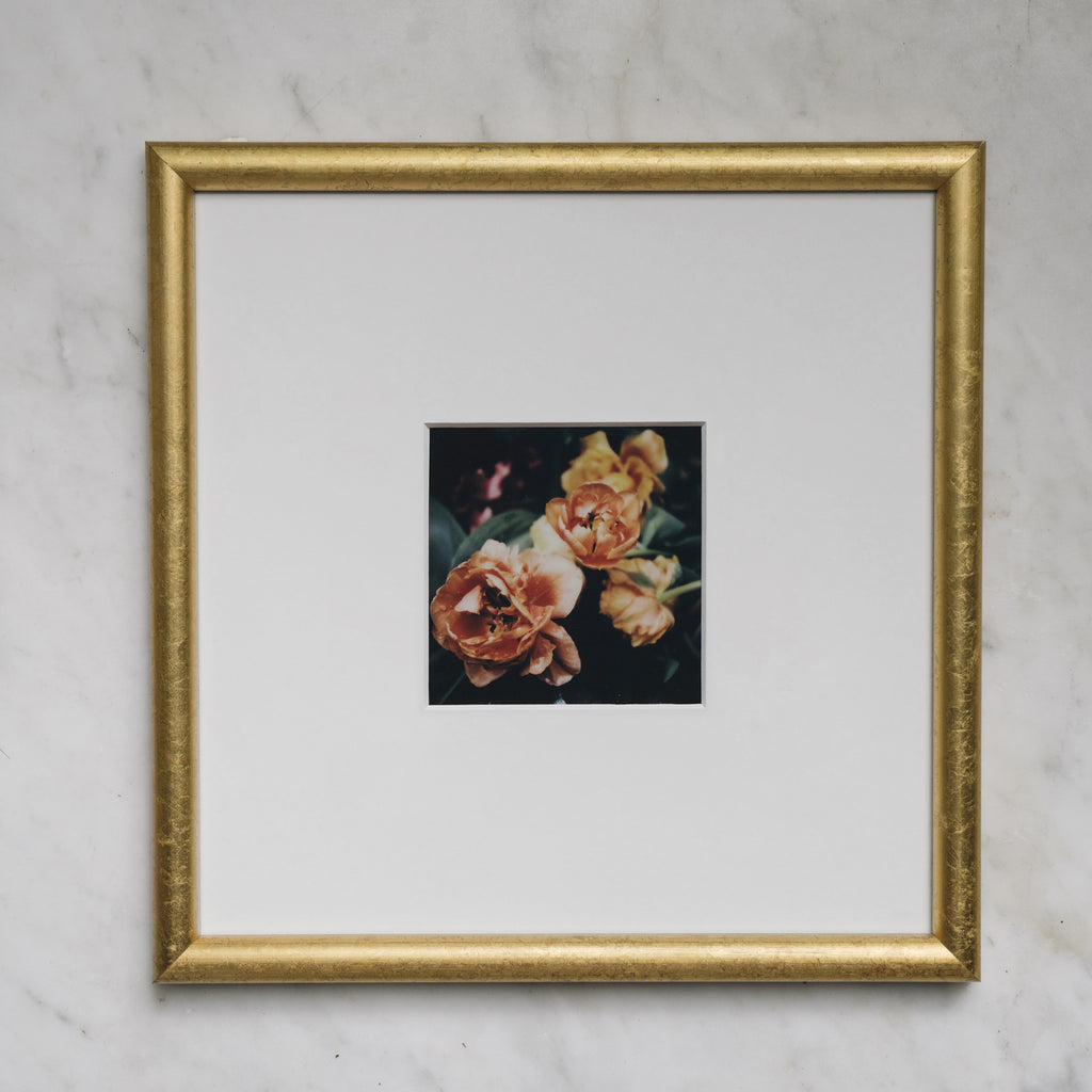 Polaroid Studio Artifact 47