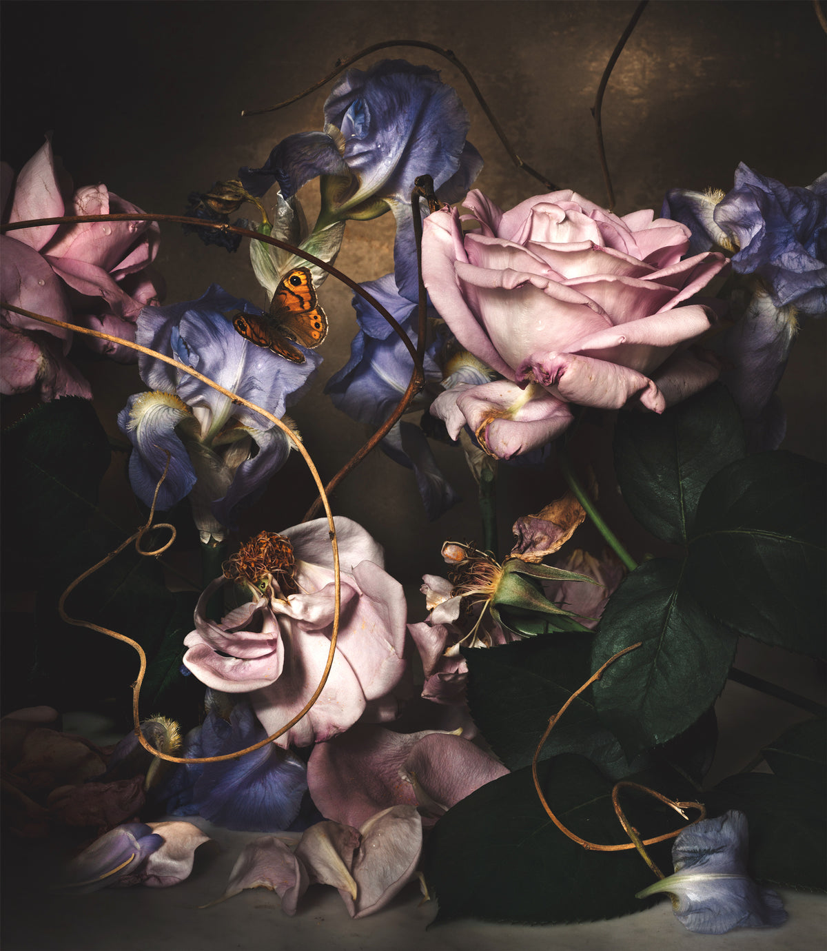 Day Forty-eight Fine Art Print