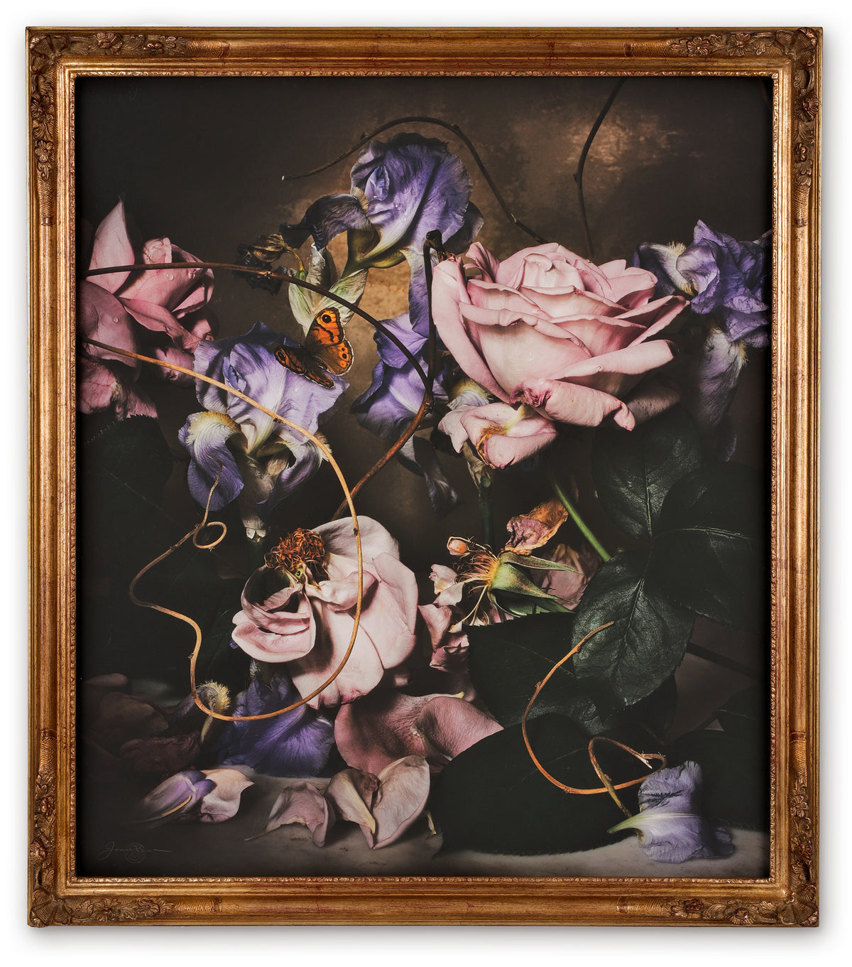 Day Forty-eight Framed Masterwork