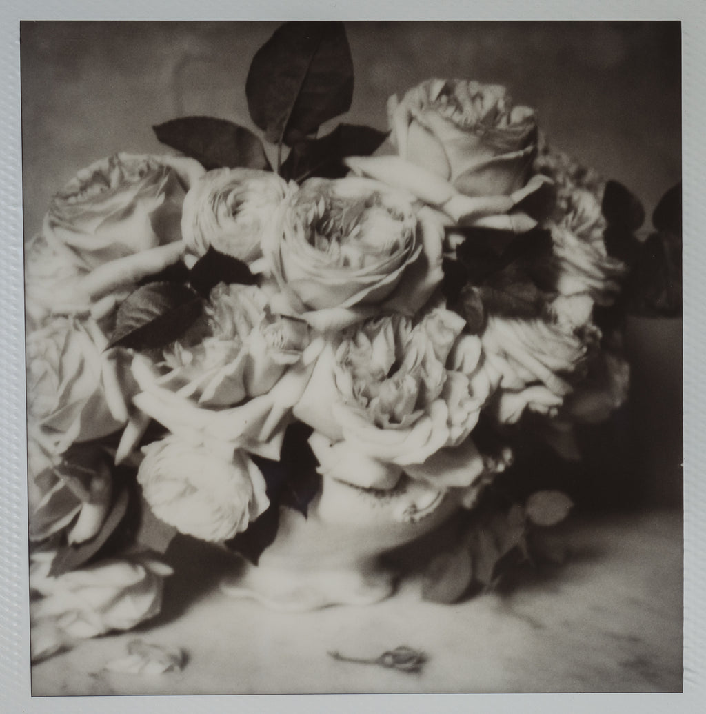 Polaroid Studio Artifact 04