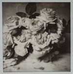 Load image into Gallery viewer, Polaroid Studio Artifact 04
