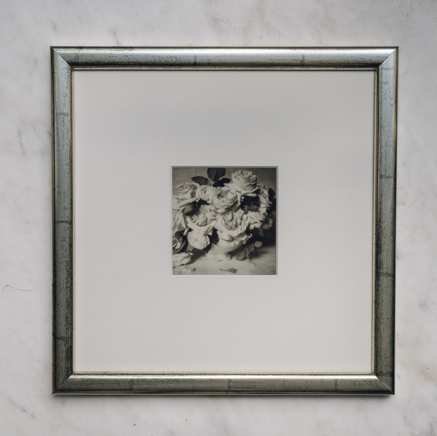 Polaroid Studio Artifact 04
