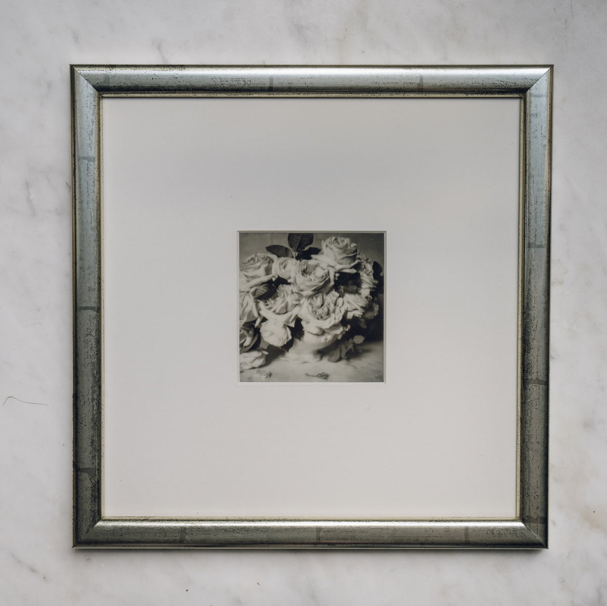 Polaroid Studio Artifact 04