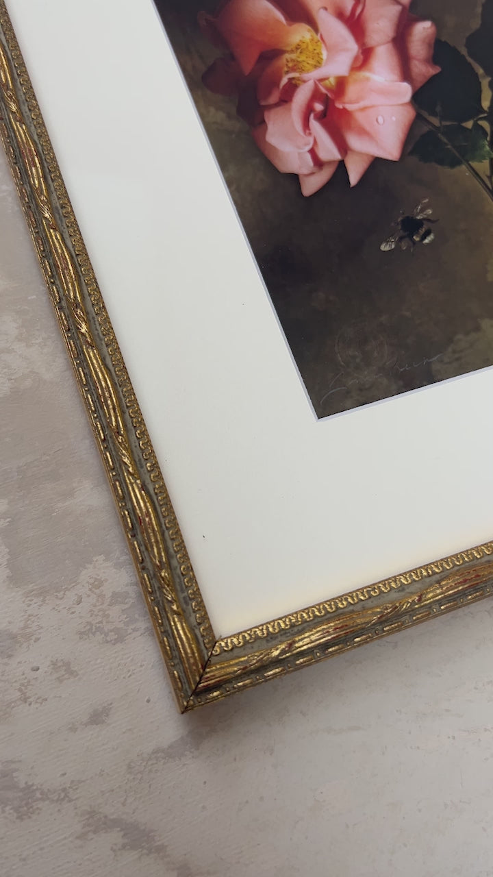 Framed Masterwork - Rose Month Day Four