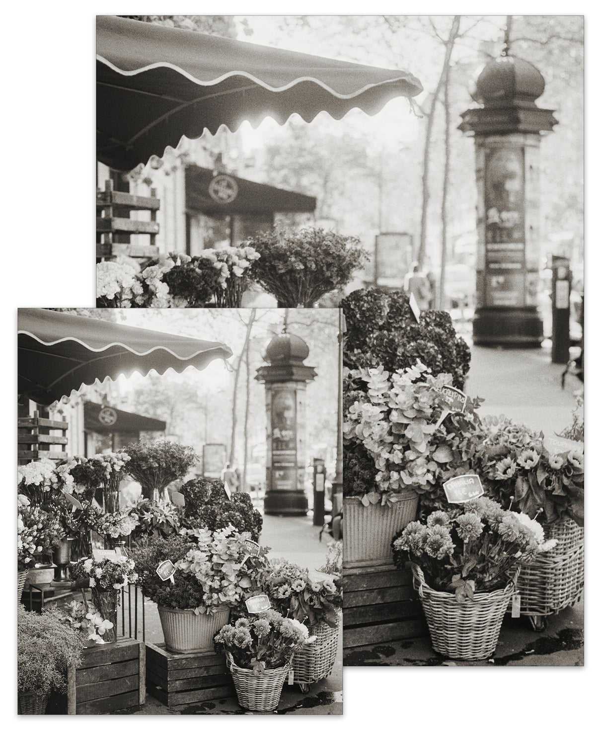 Paris Collection Fleuriste Poster