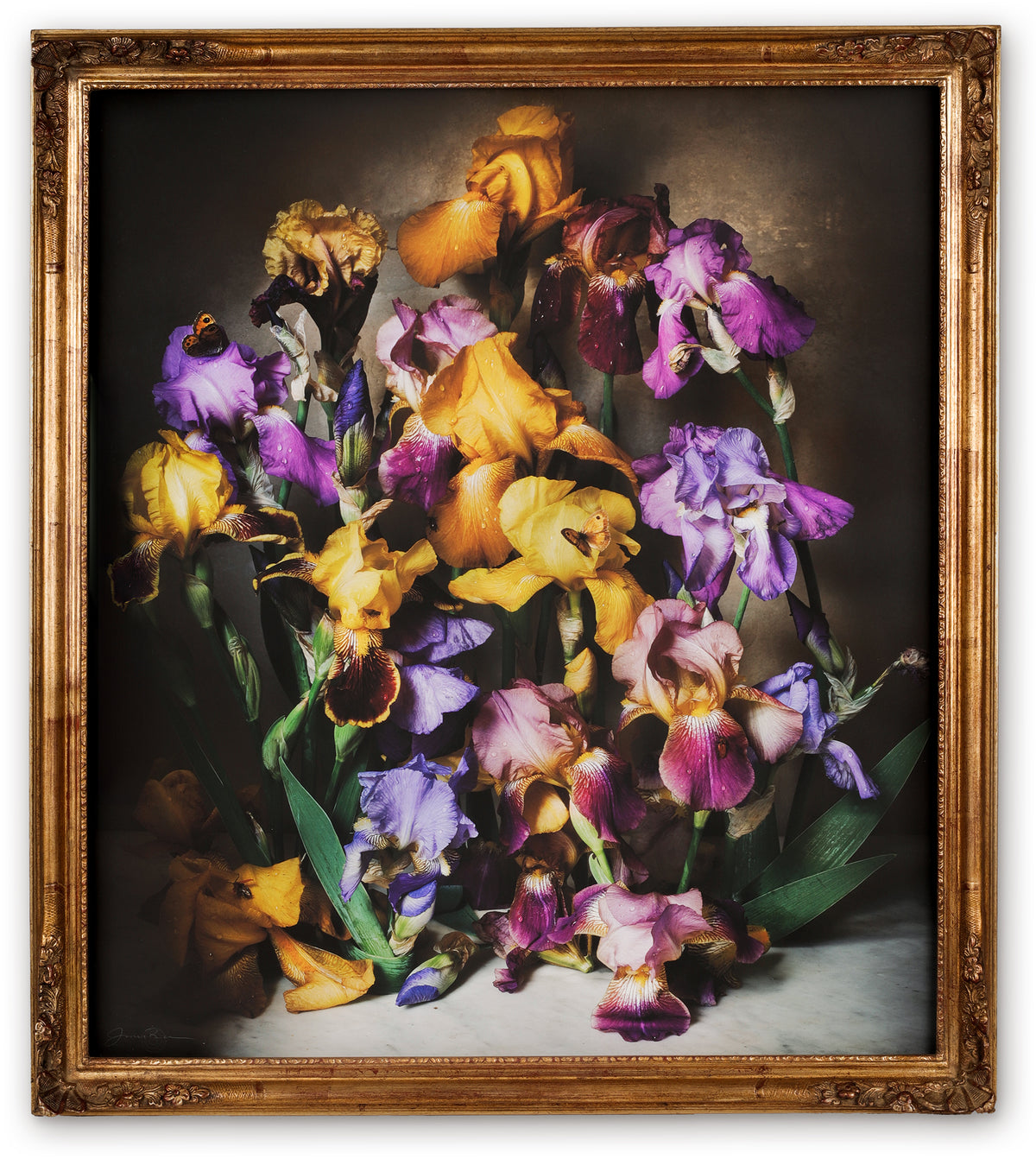 Day Fifty-one Framed Masterwork