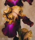 Day Fifty-four Fine Art Print