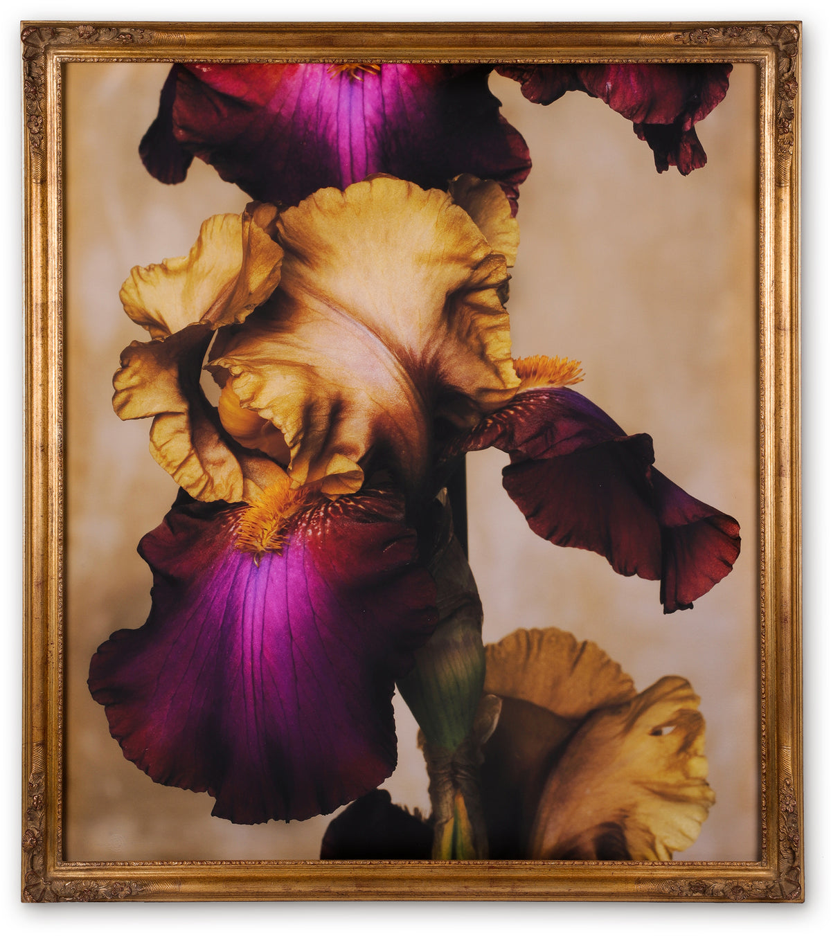 Day Fifty-four Framed Masterwork