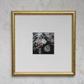 Polaroid Studio Artifact 56
