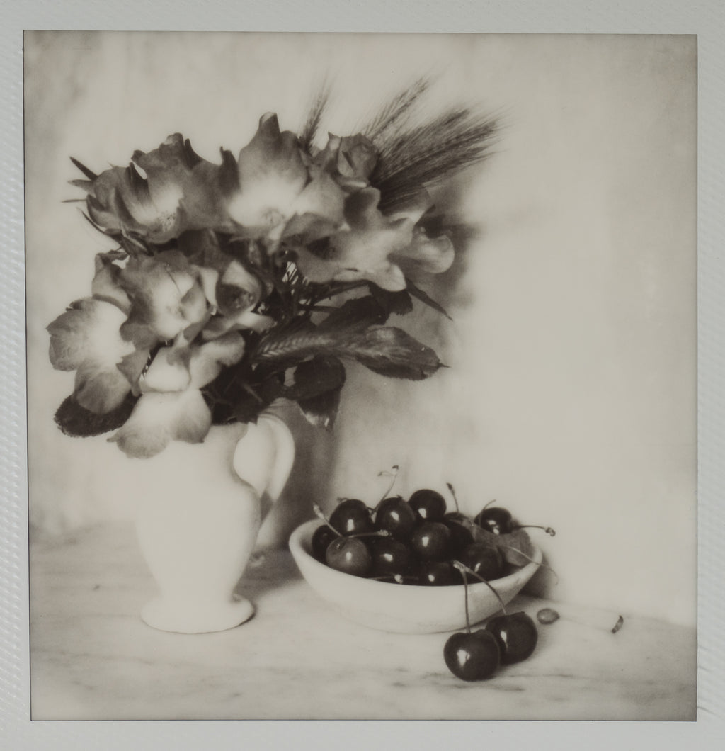 Polaroid Studio Artifact 05