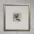 Polaroid Studio Artifact 05