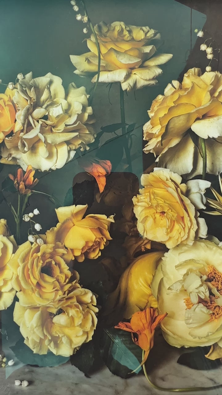 Framed Masterwork - Rose Month Day Nine