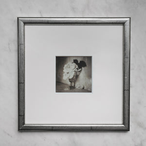 Polaroid Studio Artifact 62