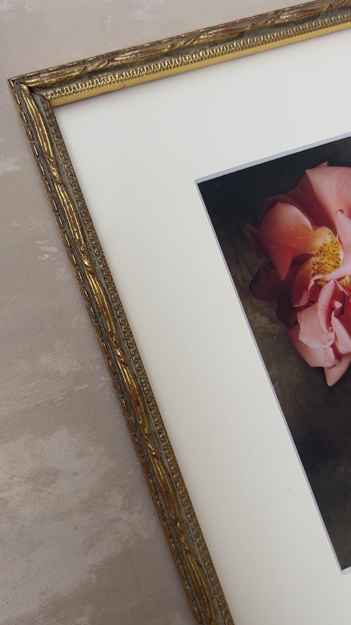 Framed Masterwork - Rose Month Day Four