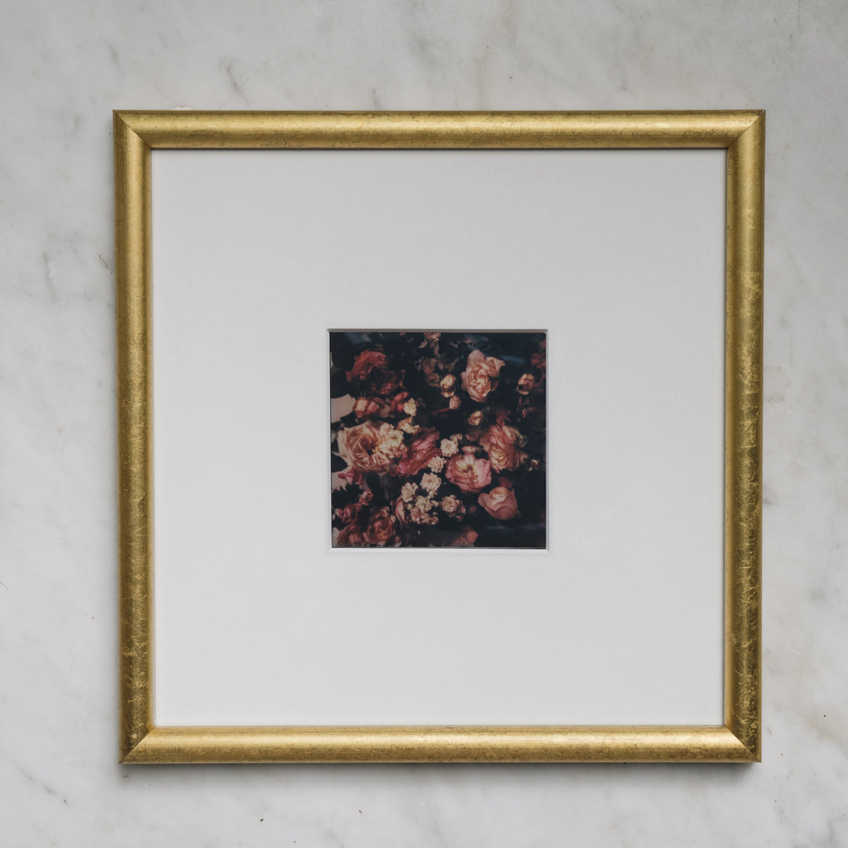 Polaroid Studio Artifact 66