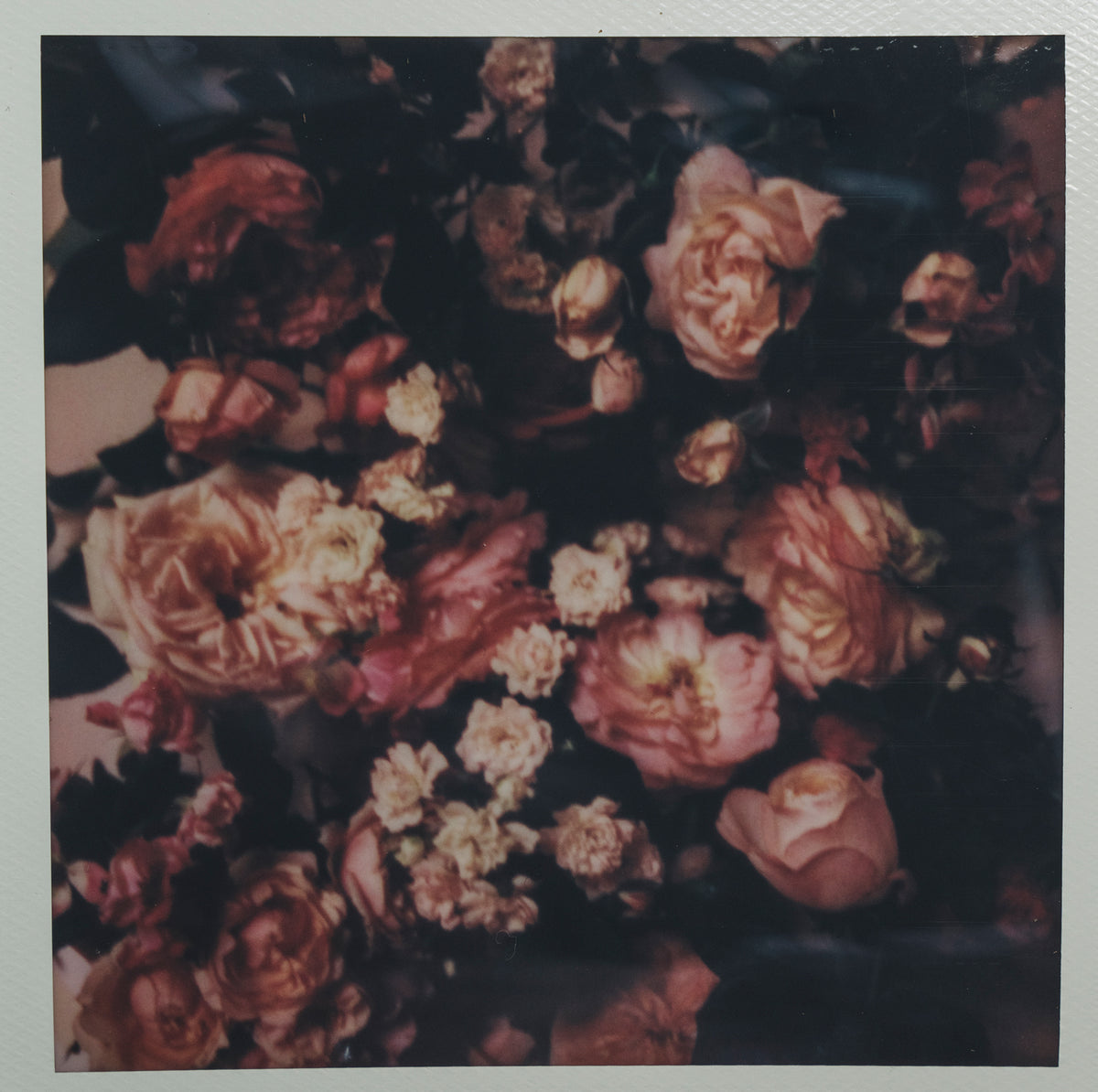 Polaroid Studio Artifact 66