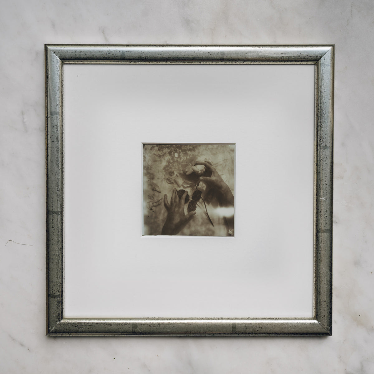 Polaroid Studio Artifact 68
