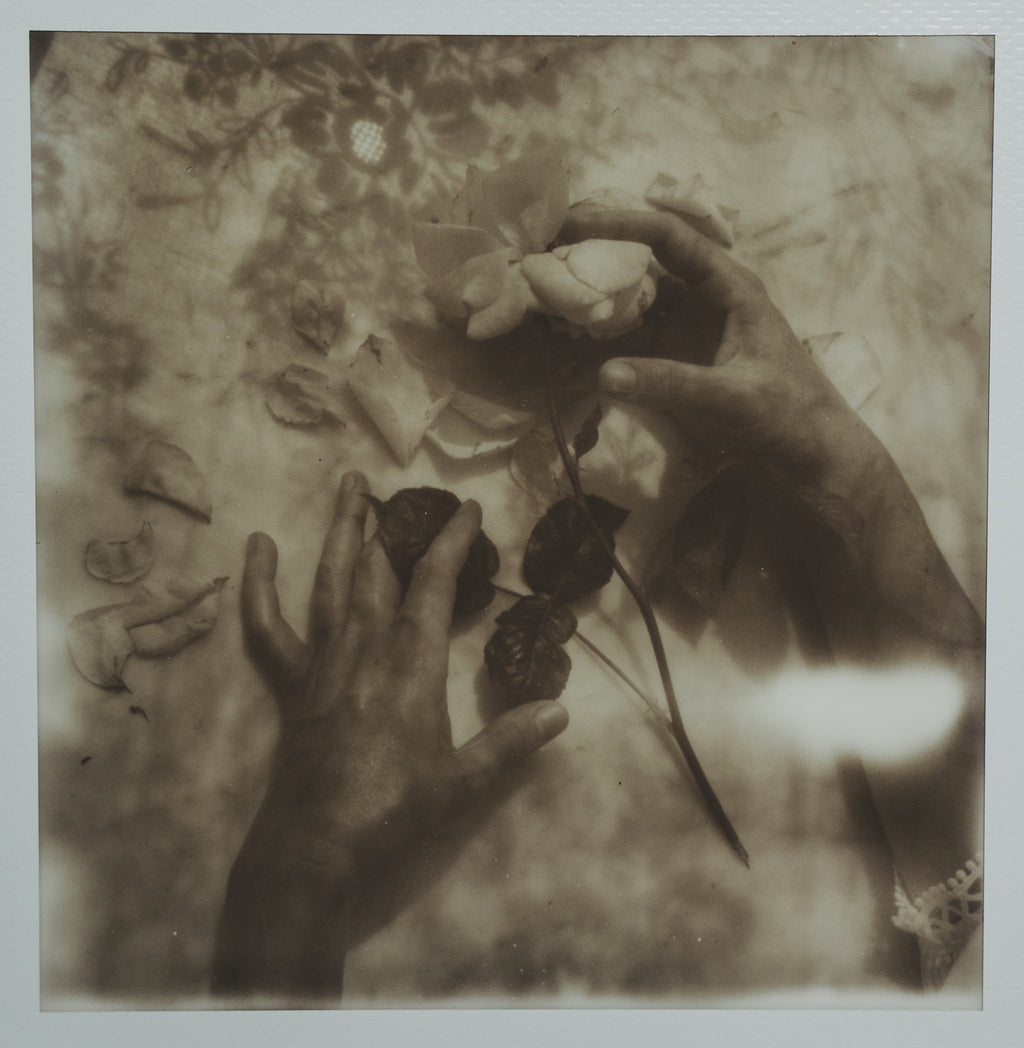 Polaroid Studio Artifact 68