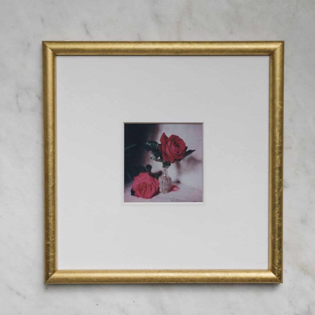 Polaroid Studio Artifact 69