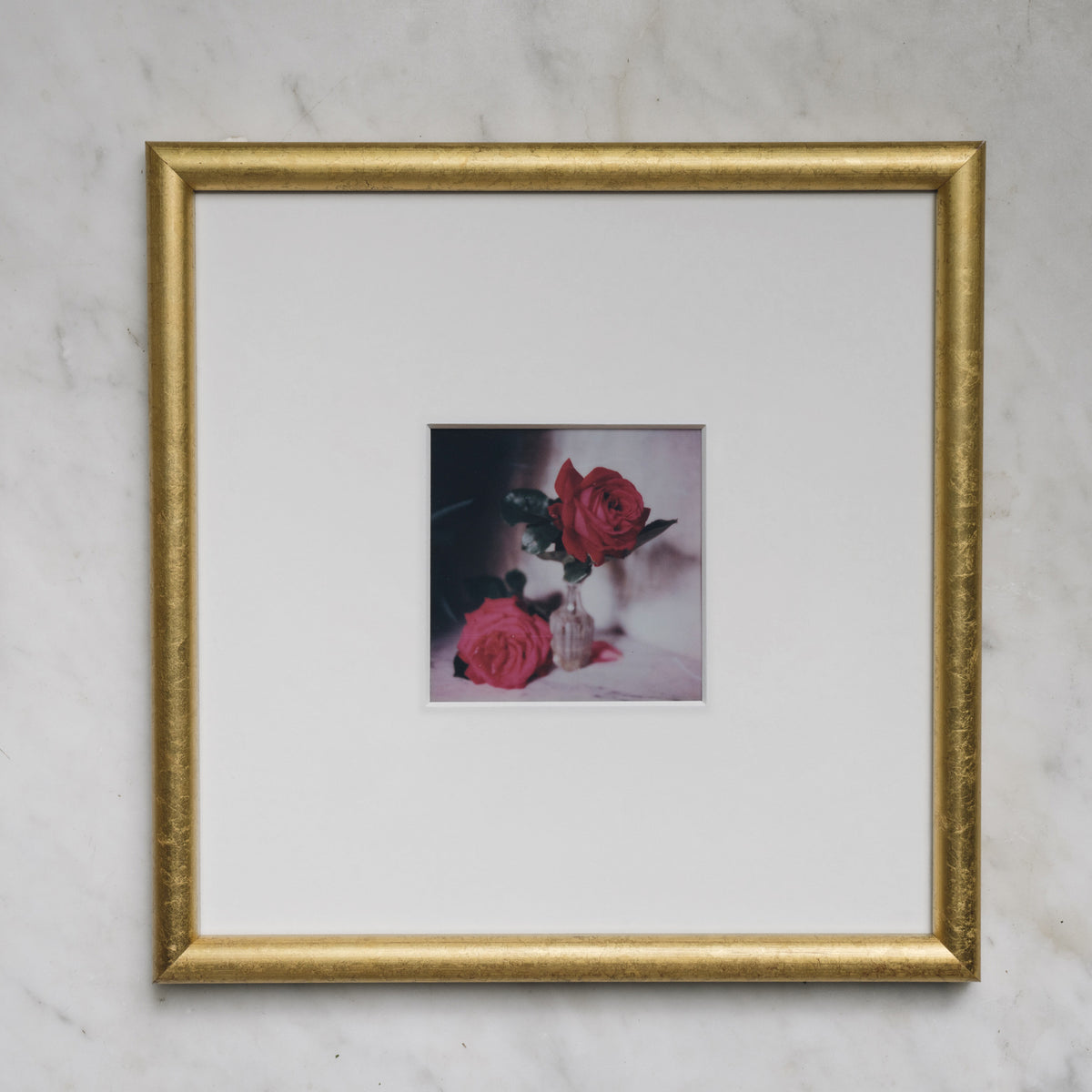 Polaroid Studio Artifact 69