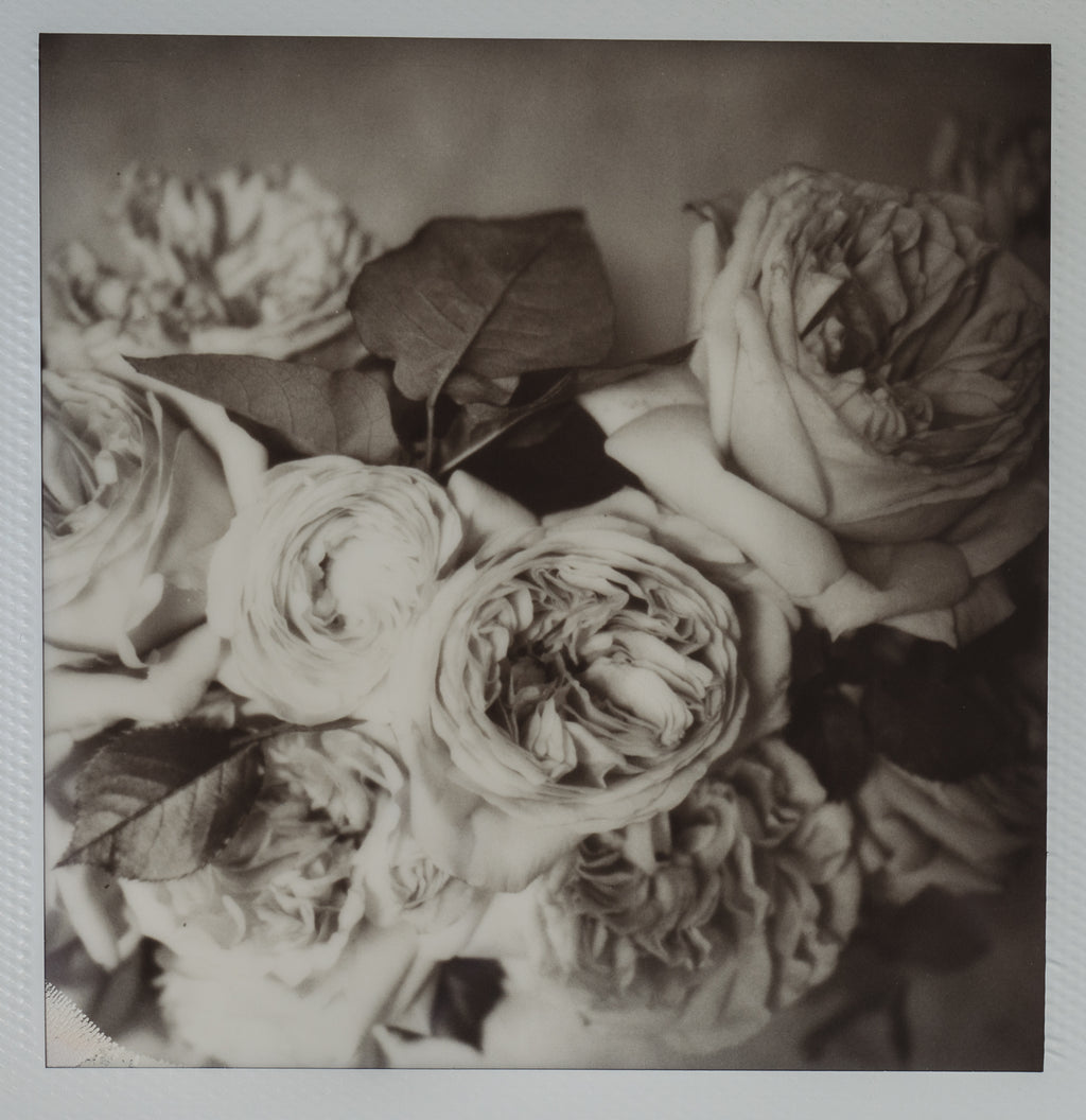 Polaroid Studio Artifact 06