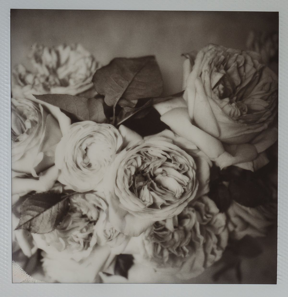Polaroid Studio Artifact 06