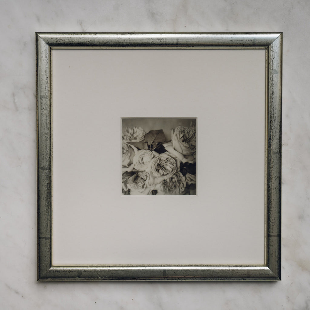Polaroid Studio Artifact 06