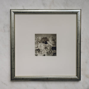 Polaroid Studio Artifact 06