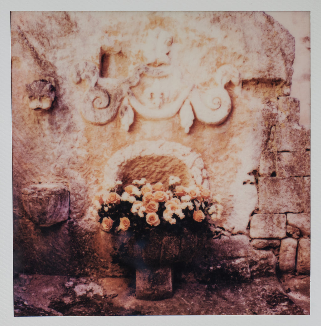 Polaroid Studio Artifact 07