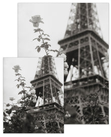 Paris Collection Eiffel Rose Small Poster