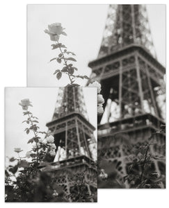 Paris Collection Eiffel Rose Small Poster