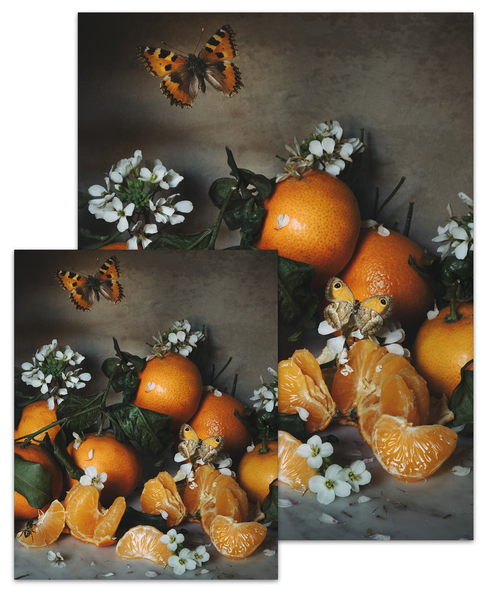 Day Eighty-one Small Poster – Jamie Beck