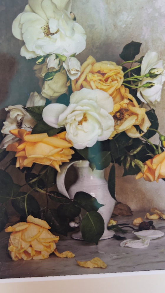 Framed Masterwork - Rose Month Day Twelve