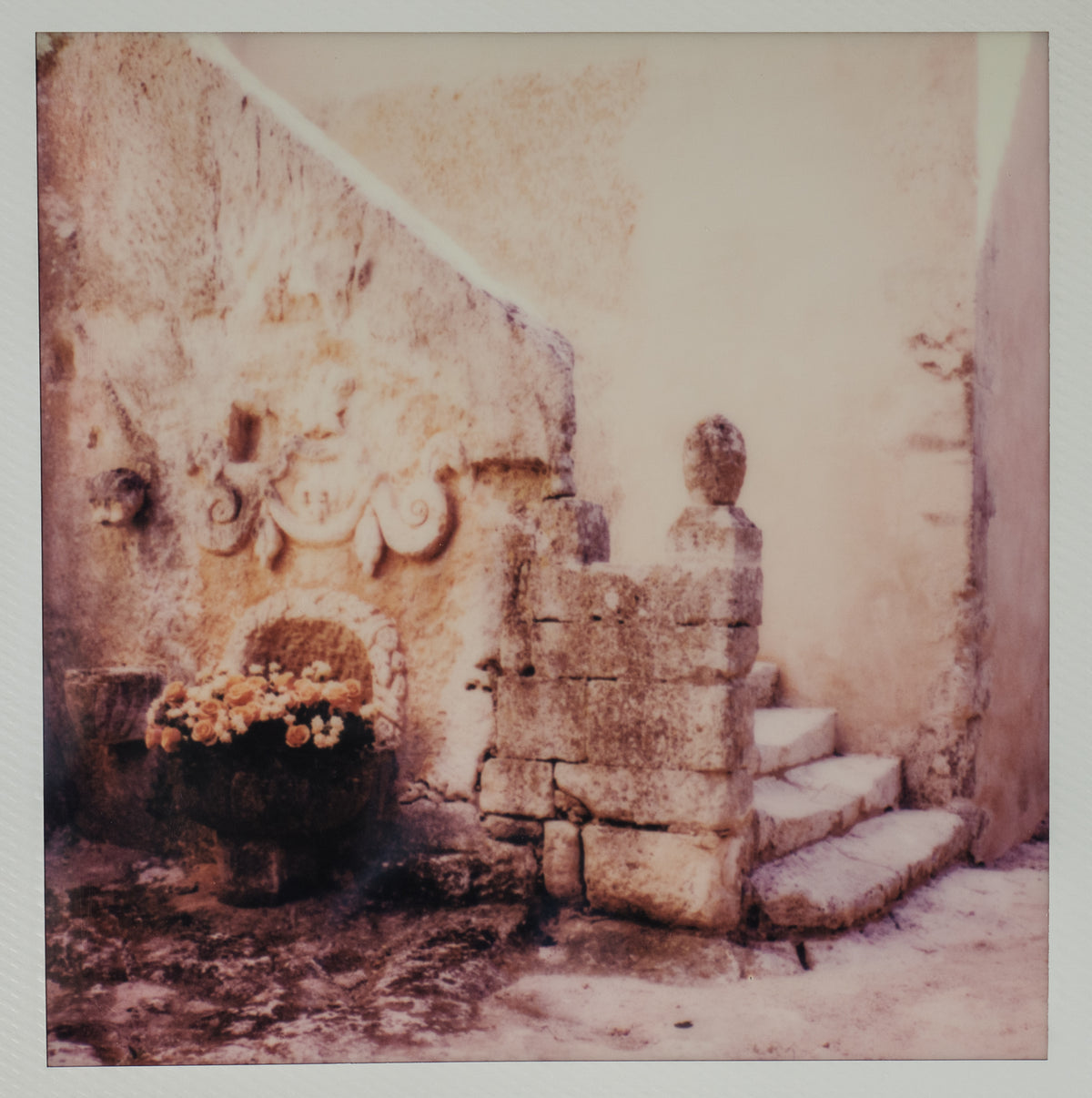 Polaroid Studio Artifact 09