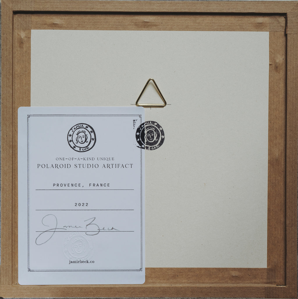 Polaroid Studio Artifact 46